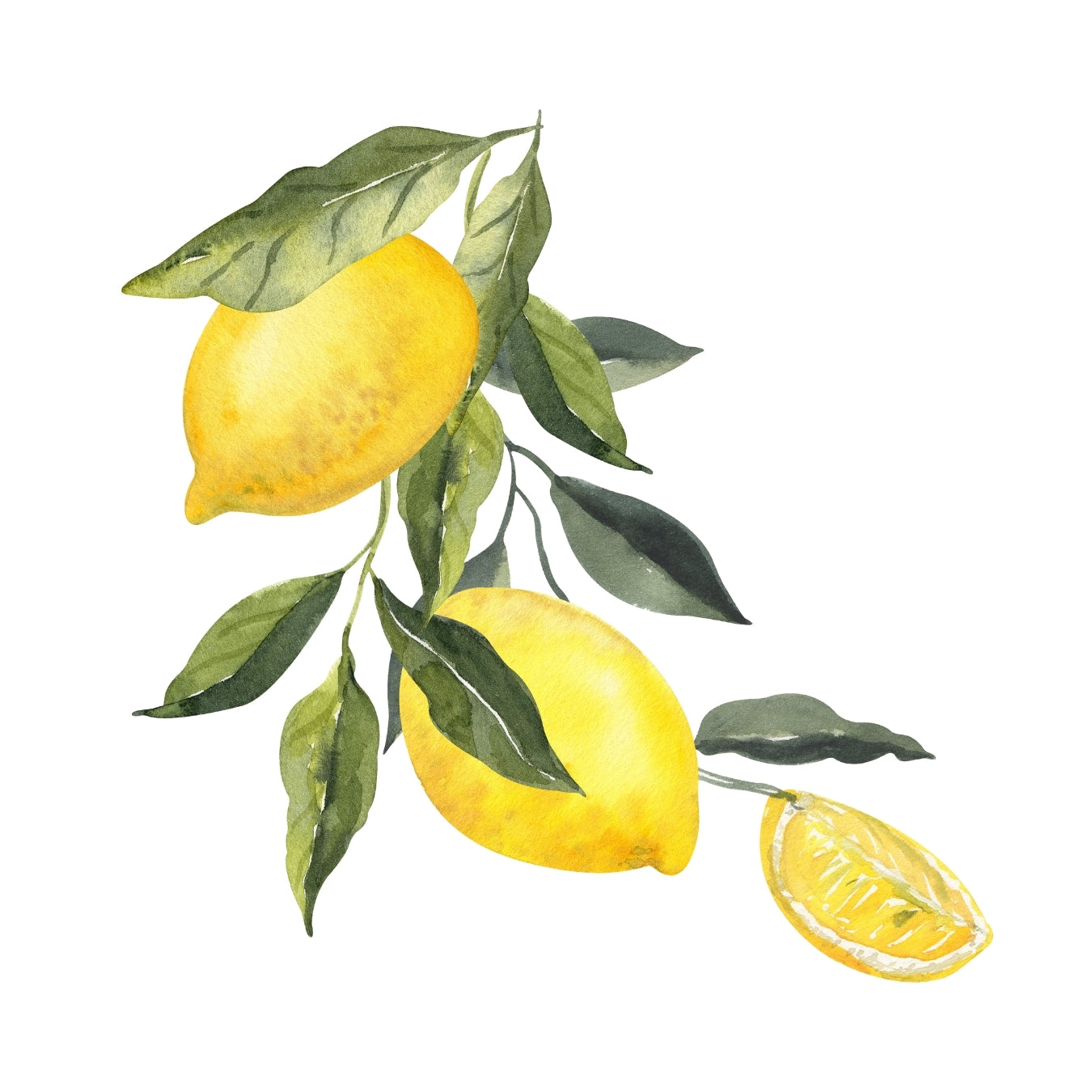 ingrédient cosmétique citron