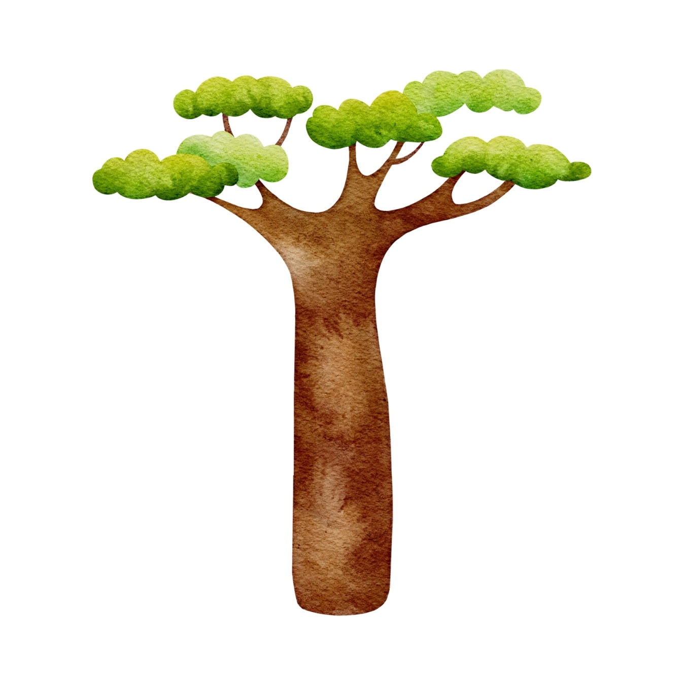 ingrédient cosmétique huile de baobab