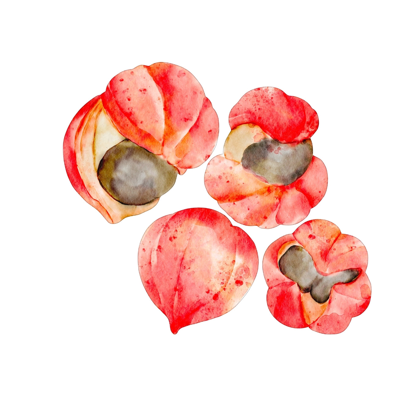 ingrédient cosmétique guarana