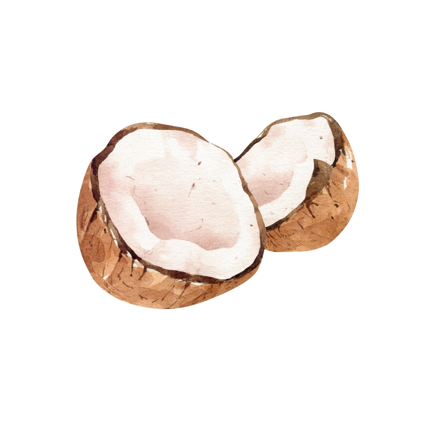 ingrédient cosmétique huile de coco