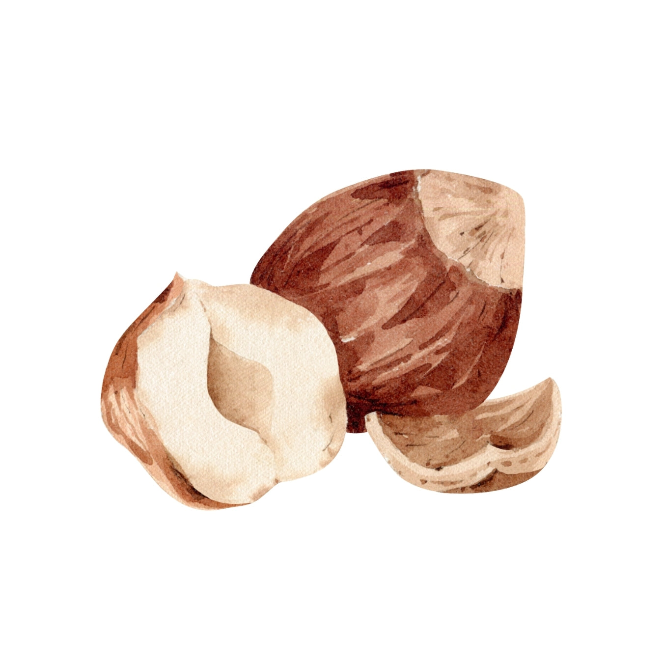 ingrédient cosmétique huile de noisette