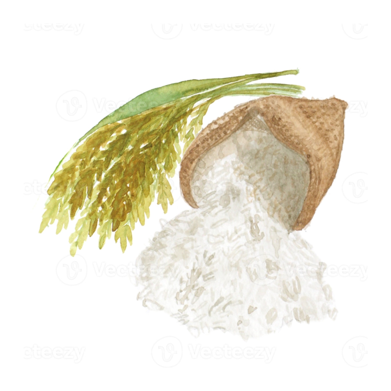ingrédient cosmétique poudre de riz