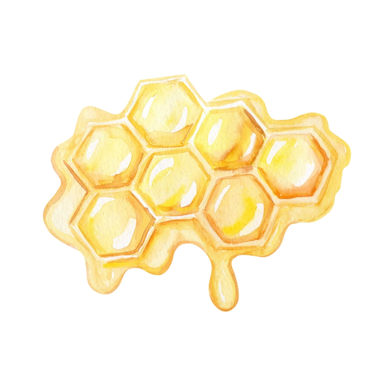 ingredient miel accacia
