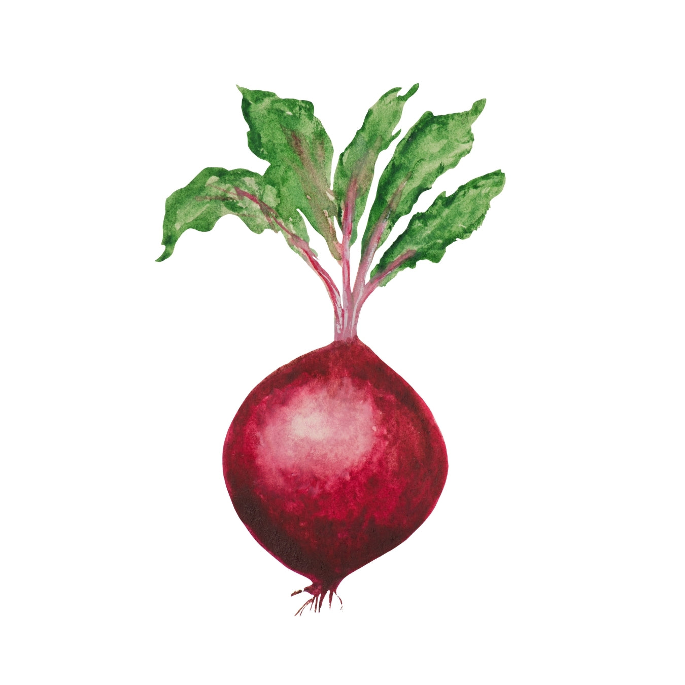 ingrédient cosmétique phytospherix