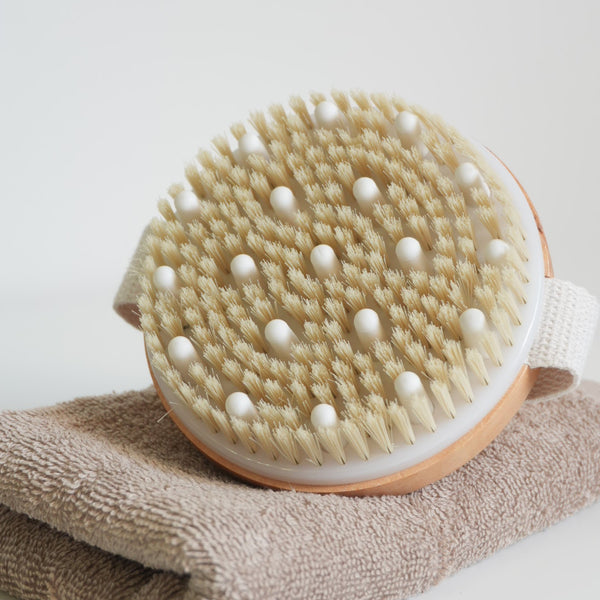 brosse corps pour brossage a sec