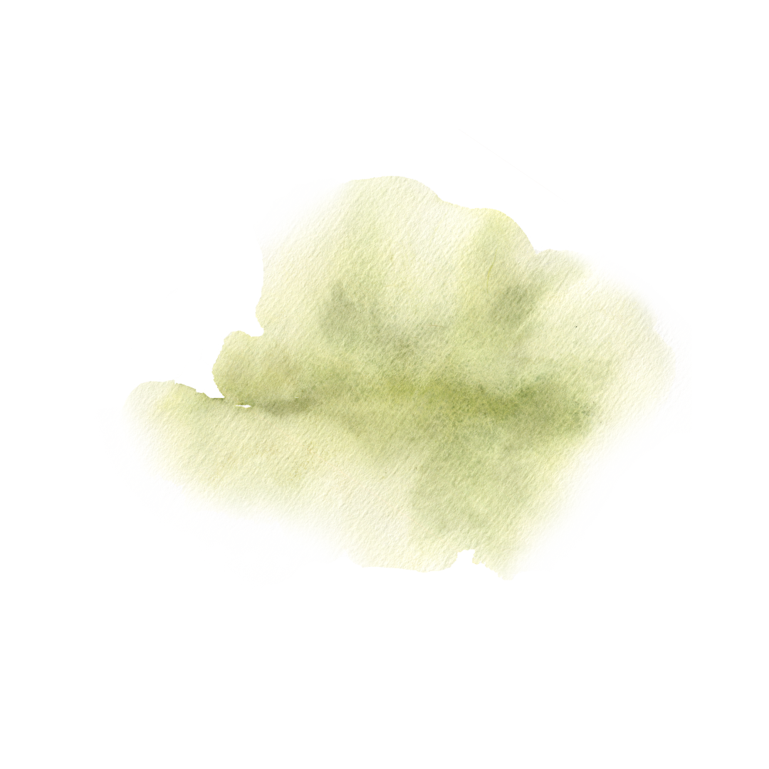 collagene vegetal actif cosmetique