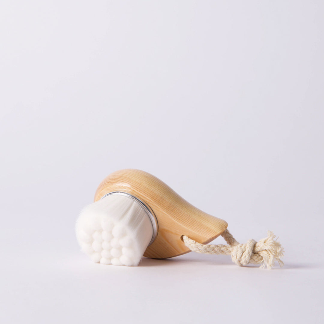 brosse nettoyante manuelle